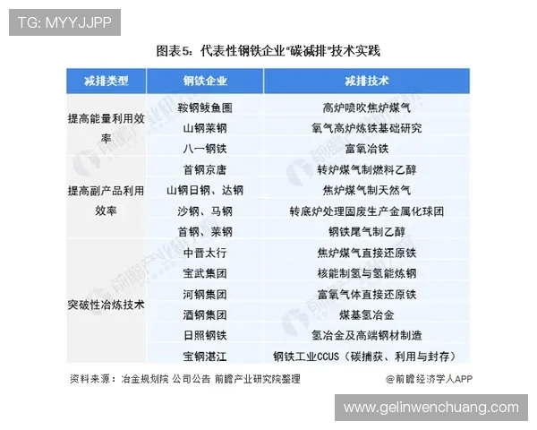 尊龙APP登录线路稳定性分析与优化方案推荐