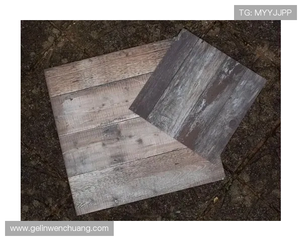 K8凯发官网app下载指南，详细步骤帮助你轻松注册登录