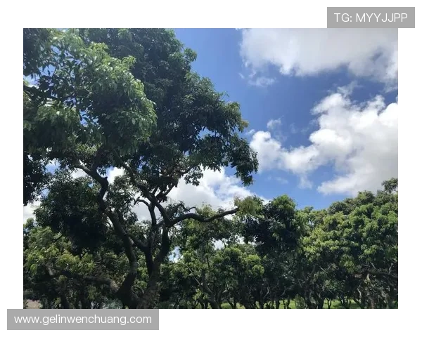 尊龙凯时人生就是用心感受生活中的每一个美好瞬间 尊龙凯时人生就是用心感受生活中的每一个美好瞬间