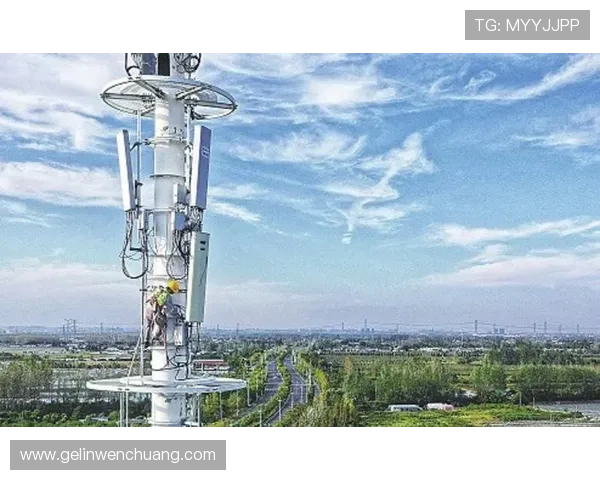 5g游戏网为玩家提供专业的5g网络优化建议与实用技巧