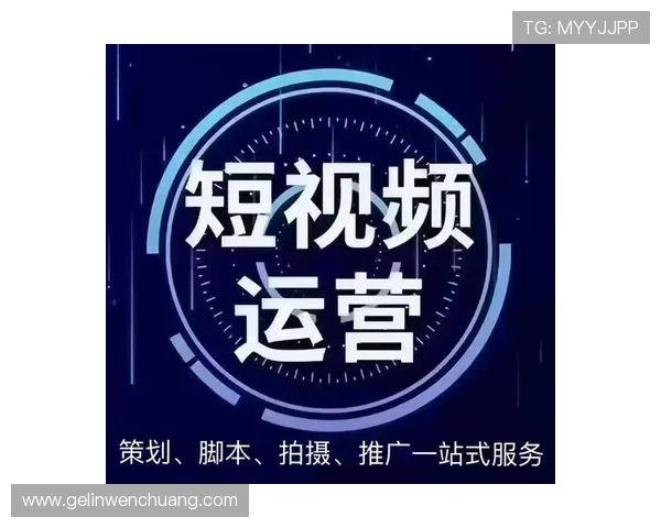 三公三孤高分技巧总结助你在排行榜中名列前茅赢得更多荣誉