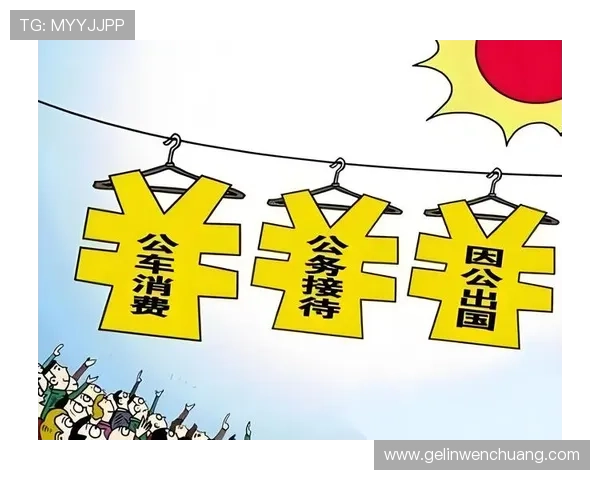 三公经费的相关法律法规及政策导向，公众如何监督和评估政府的经费使用情况