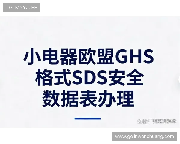 全面介绍PP游戏官网的注册流程与账号安全保障措施