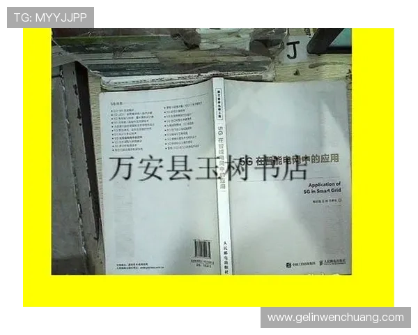全面解析5g智能电网白皮书PDF内容及其在未来能源管理中的应用价值
